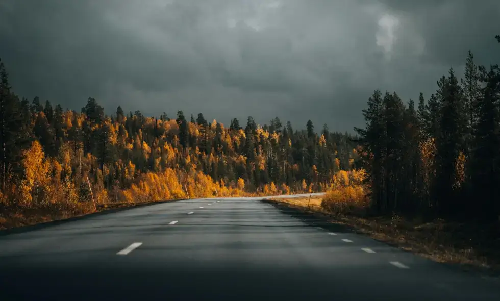 Za dużo pasów dla nowych dróg na północy Słowacji? Ostrzeżenie ekspertów w sprawie autostrady D3