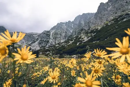 Slovenská Diaľničná Známka: Cesta k možnostiam cestovania