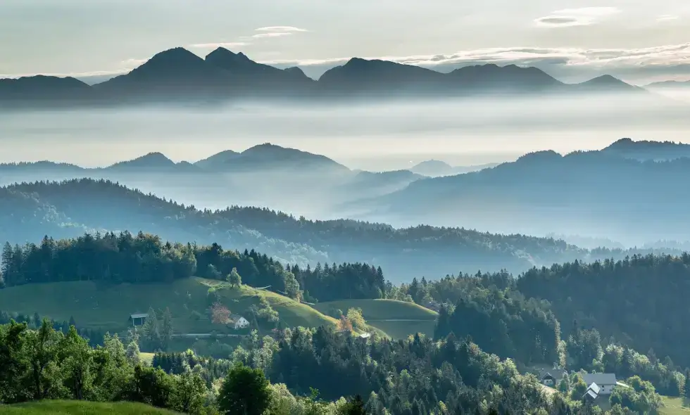 2024 Vi̇nyet alımı Slovenya