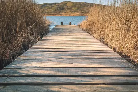 Cumpărare vignetă în limba română